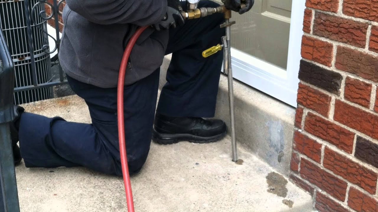 Images BP Homecare Pest Control