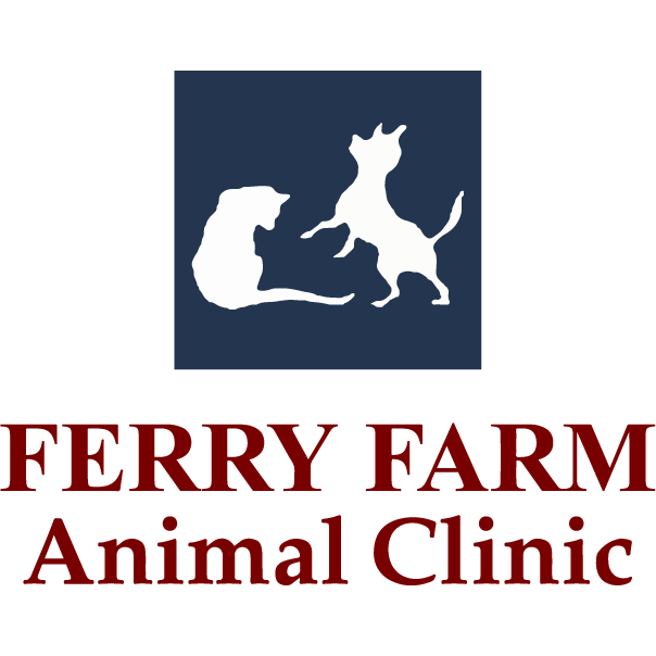 Ferry Farm Animal Clinic