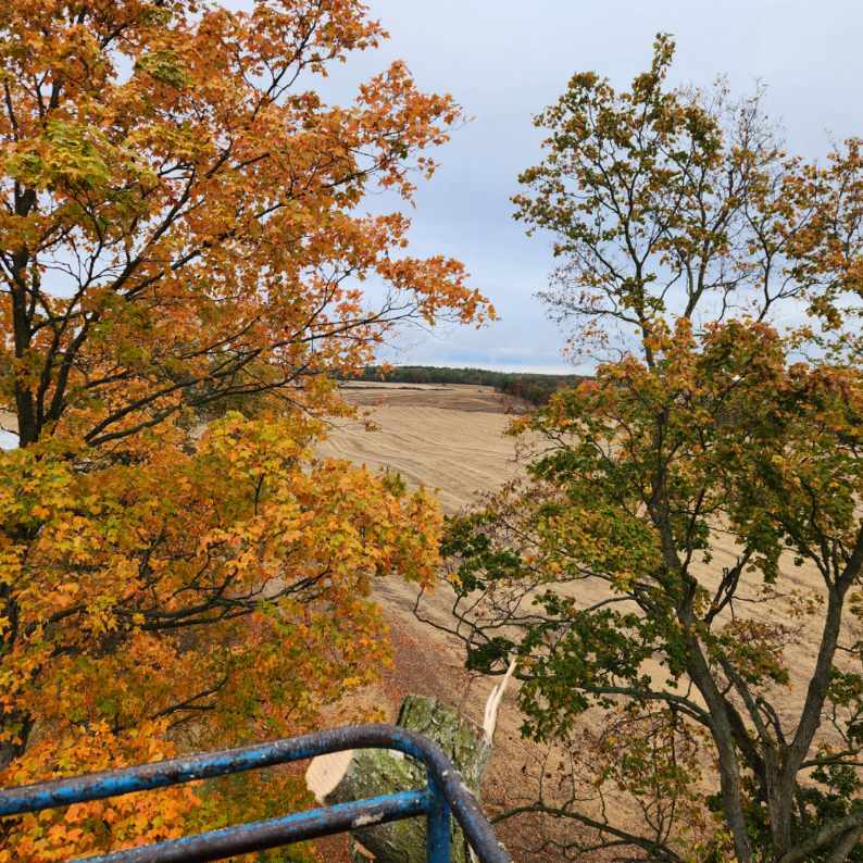 Milks Tree Service Inc Image