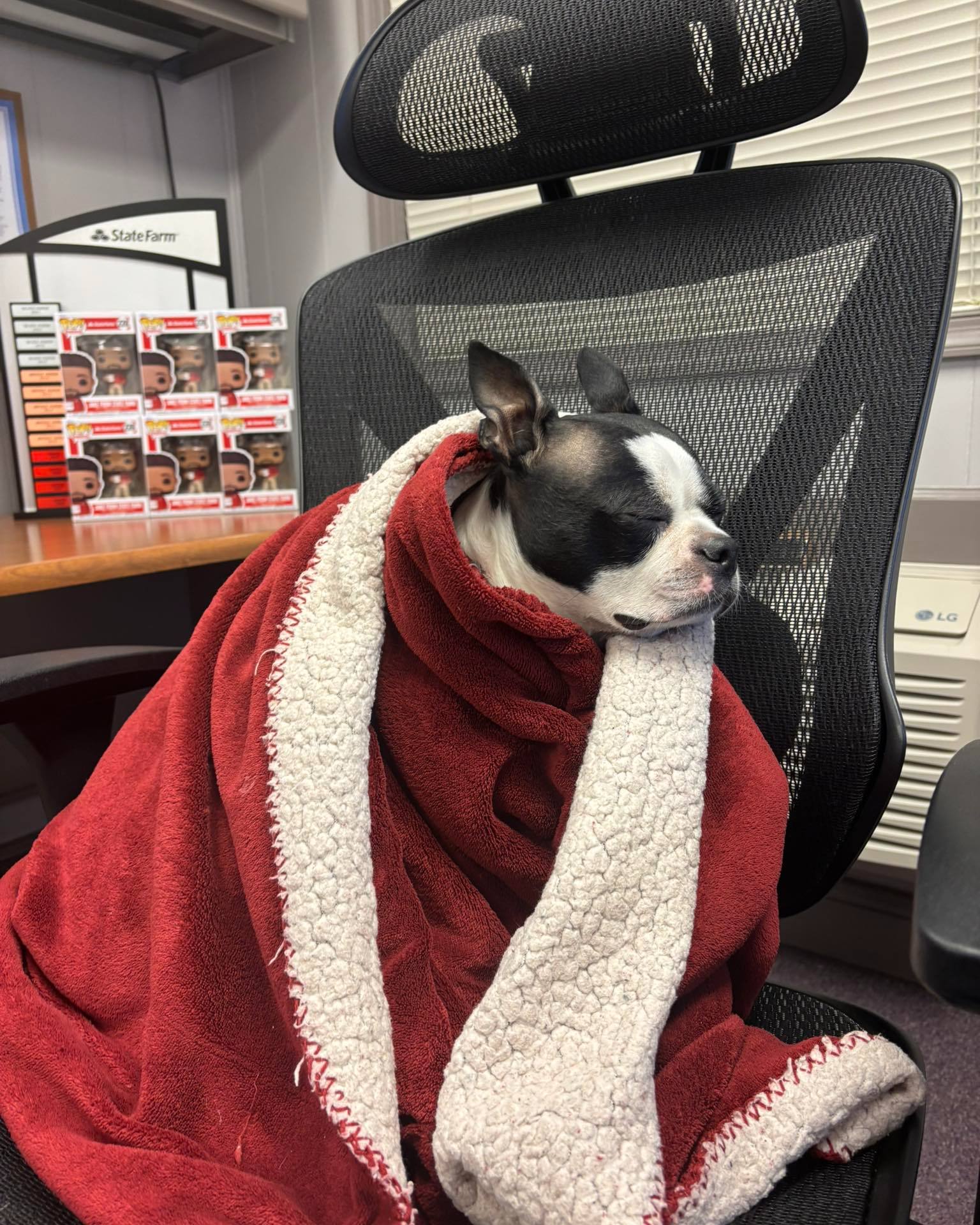 It's a wrap. Bella is out. She says she's covered, are you?