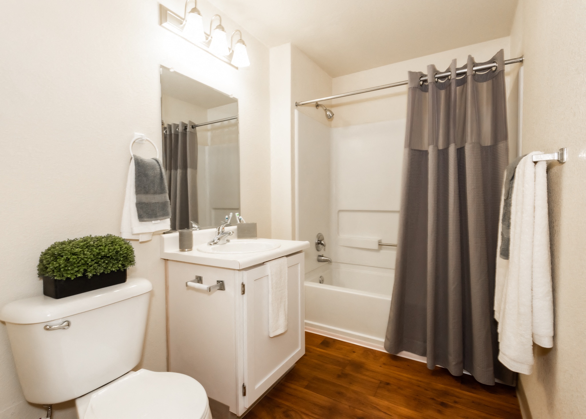 Modern Bathroom