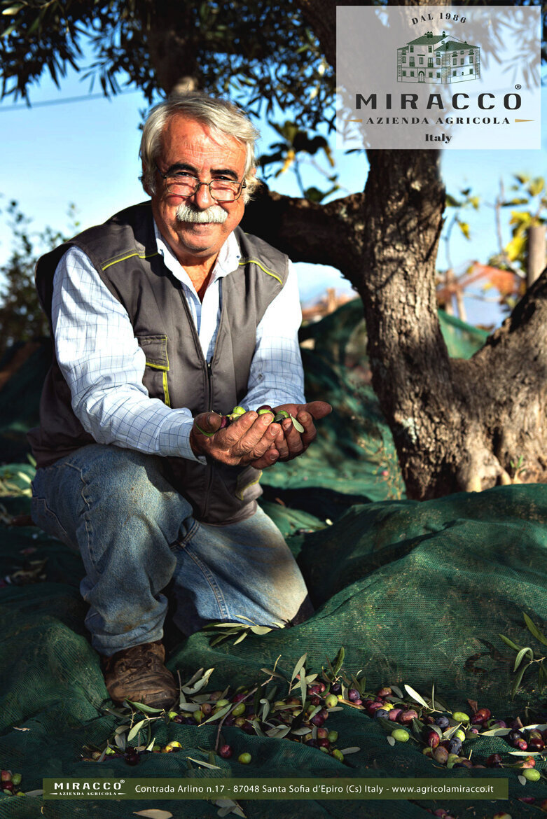 Images AZIENDA AGRICOLA MIRACCO ATANASIO FRANCO