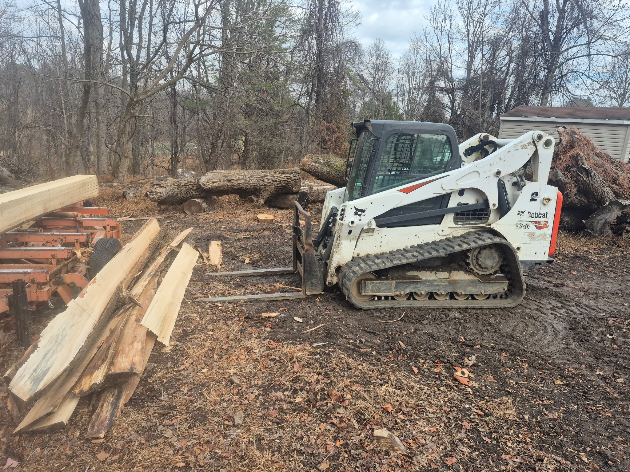 BB Tree & Landscape Company Image