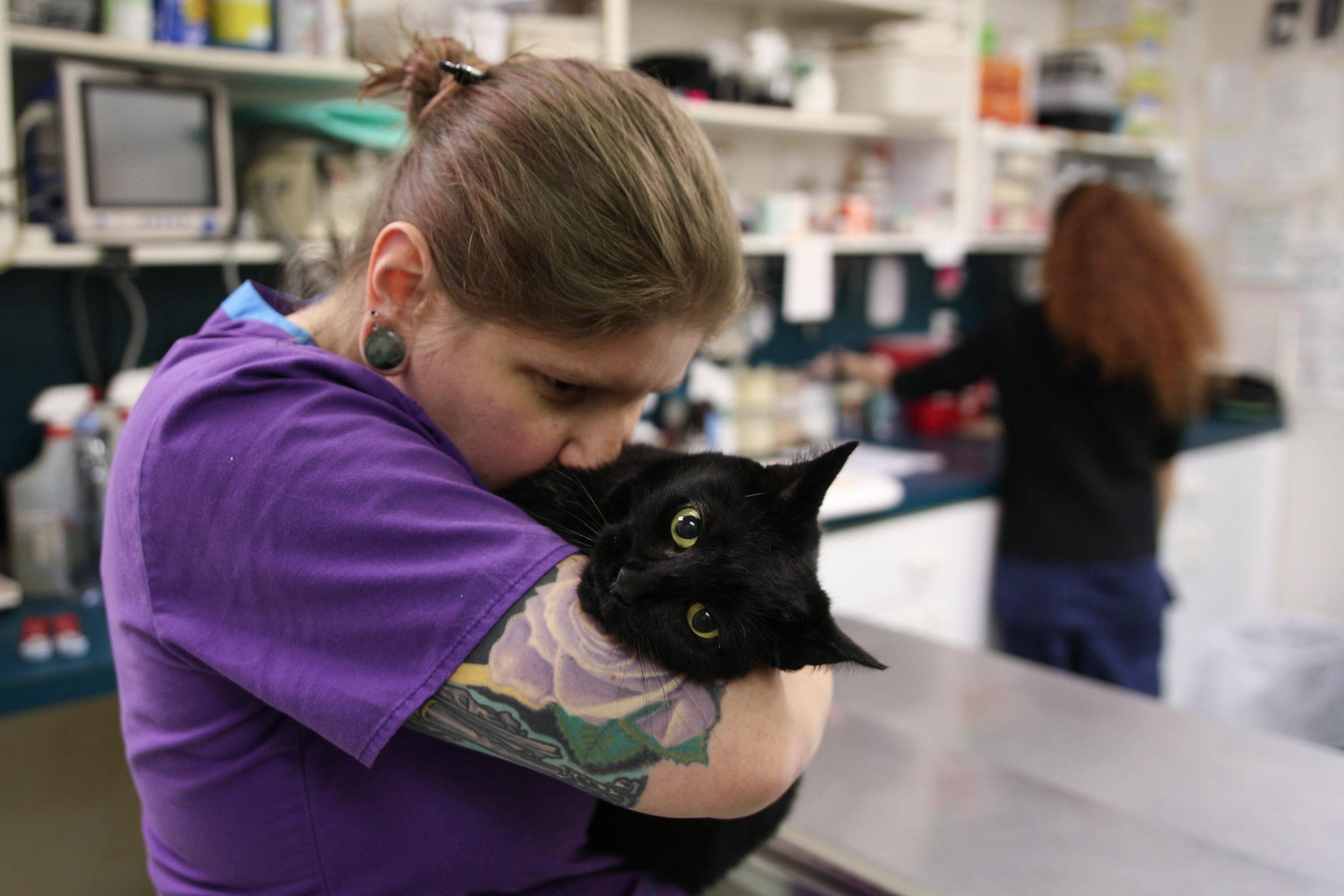 Levittown Animal Hospital Photo