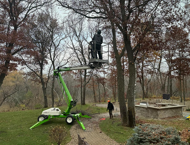 Images JB Tree Care & Landscaping