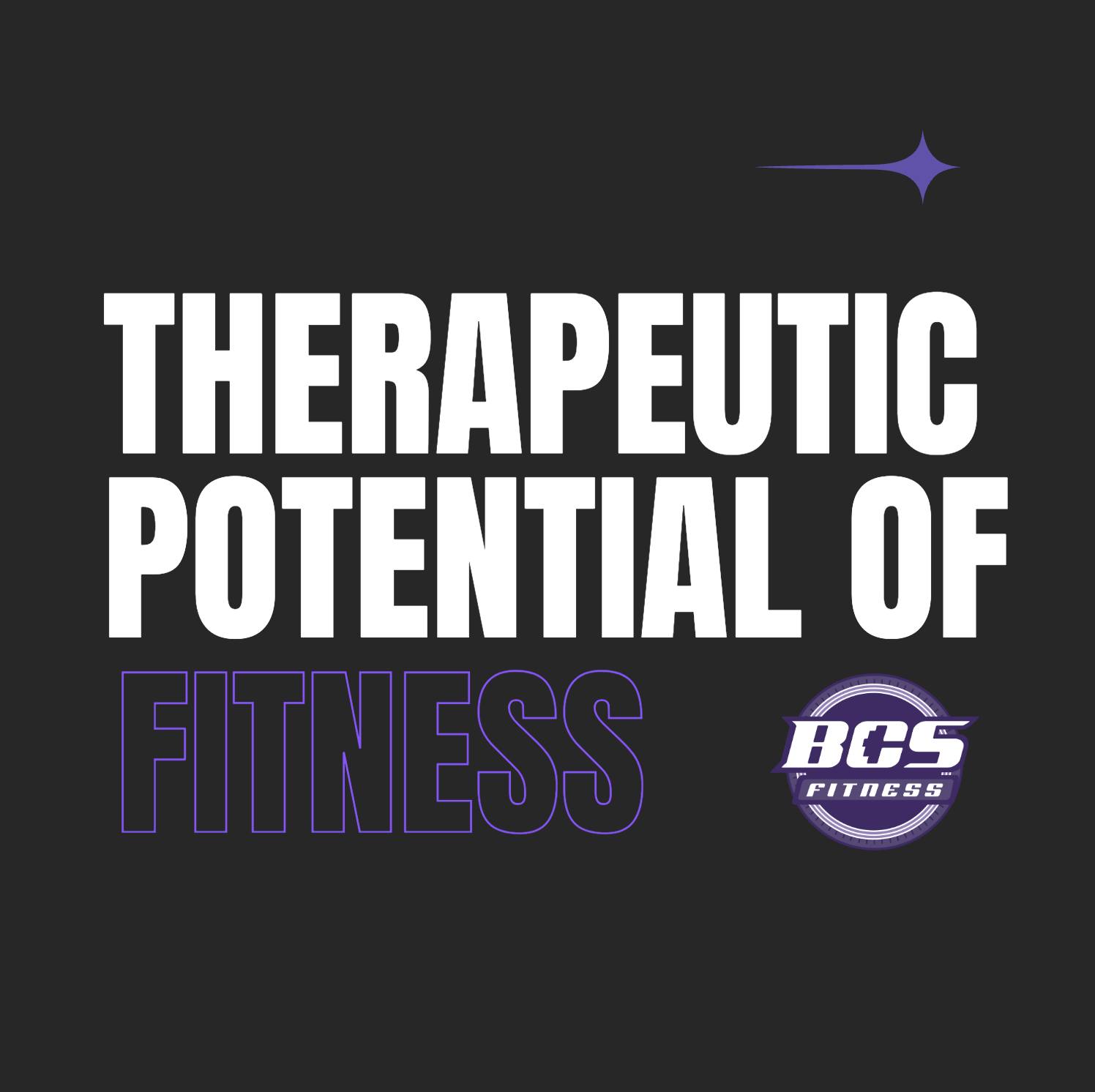BCS Fitness image