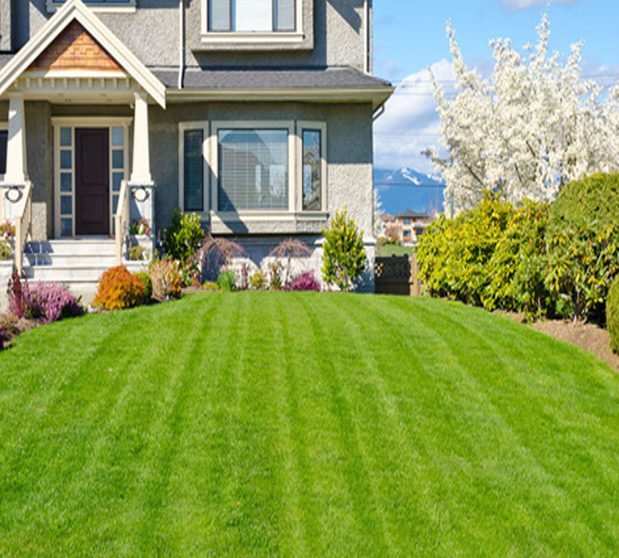 Images Glades Landscaping & Lawn Mowing