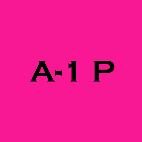 A-1 Party Logo