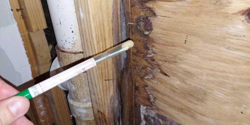 We use various testing techniques to ensure we get an accurate understanding of the mold issues in your home or workplace.