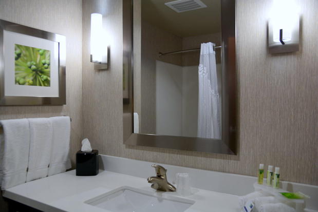 Images Holiday Inn Express & Suites Houston NW - Tomball Area, an IHG Hotel