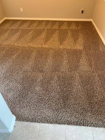 Images Fresh Carpet Clean Houston