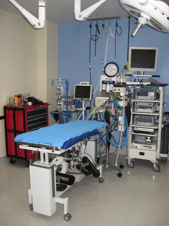 Images VCA Raleigh Hills Animal Hospital