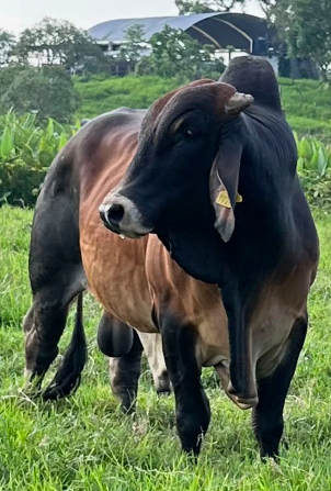 Images Rancho La Marina