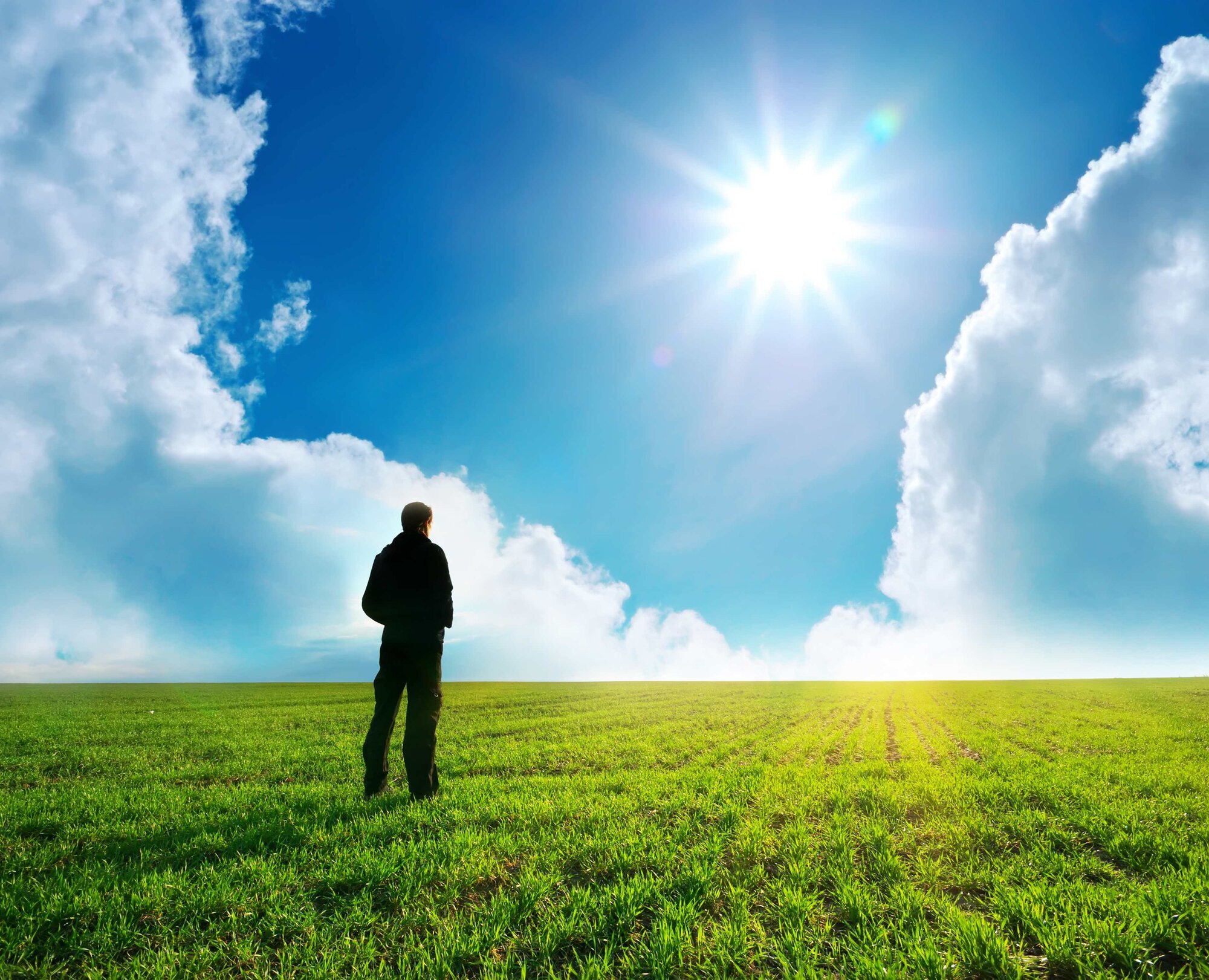 Images Body Mind Heart Therapy