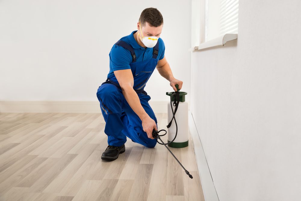 TB Pest Solutions