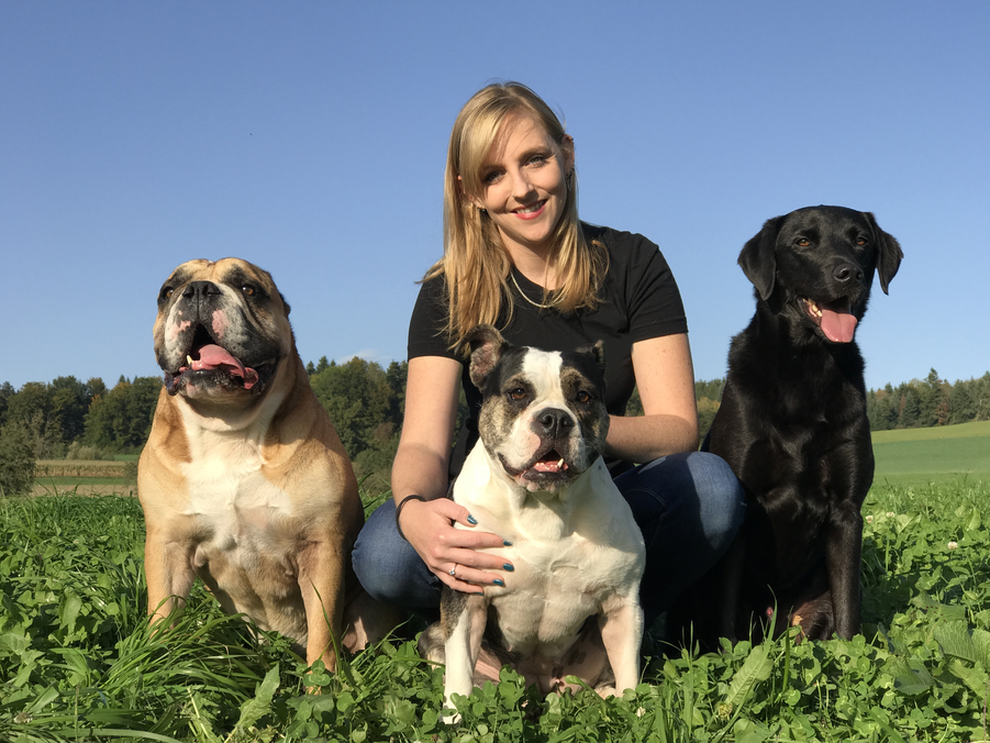 Bilder Alpepfötli GmbH