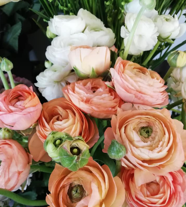 Images Fioreria Bellotto