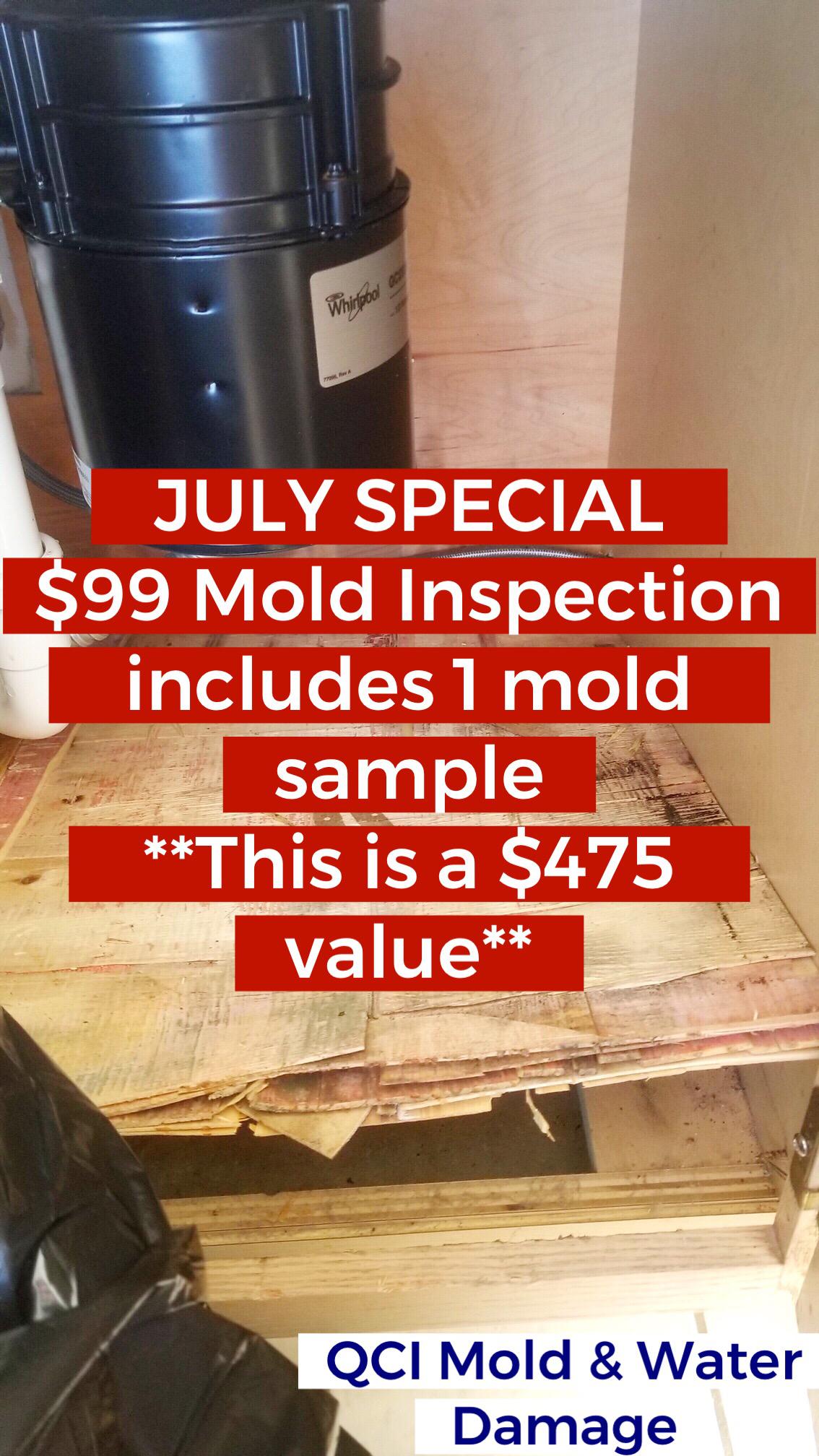 JULY SPECIAL!
Think you may have a mold issue? Need a mold inspection or testing? 

Limited Time Off QCI Mold and Water Damage Naples (239)777-2875