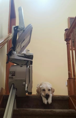 Images 101 Mobility of Pittsburgh