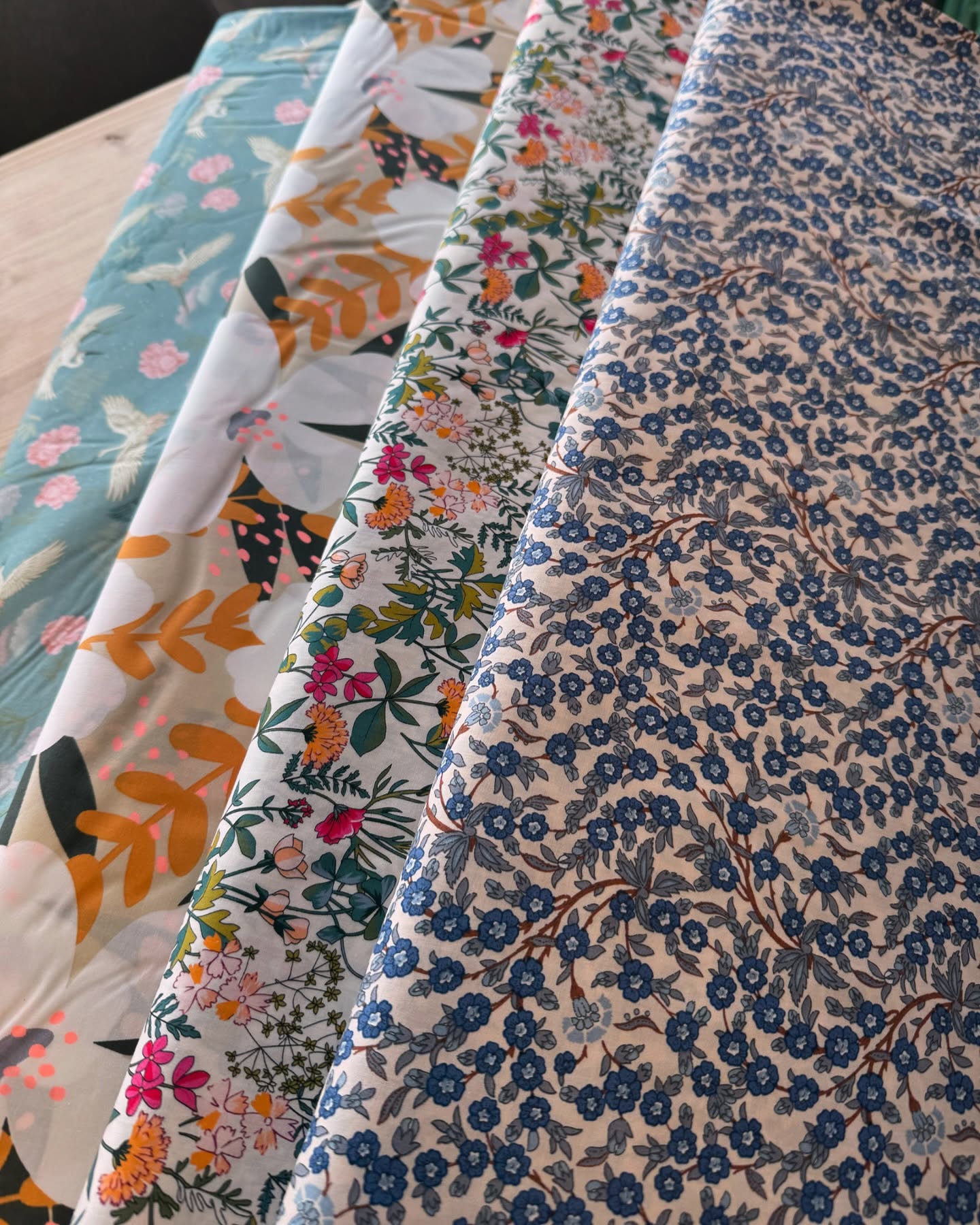 Images Kotoi Mertzeria