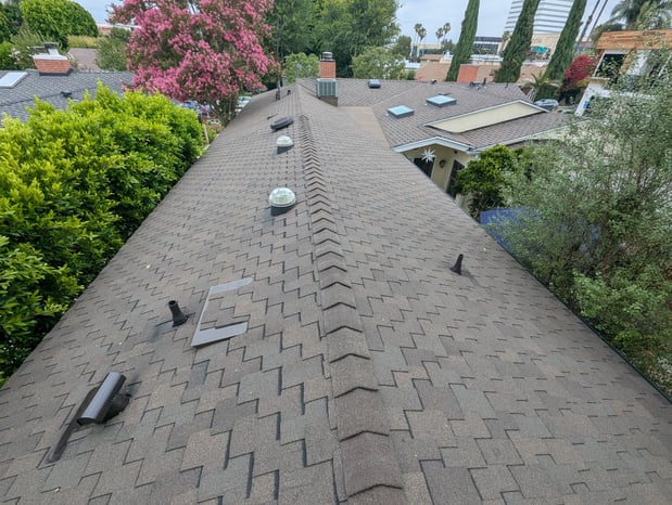 Images Immaculate Roofing Inc.