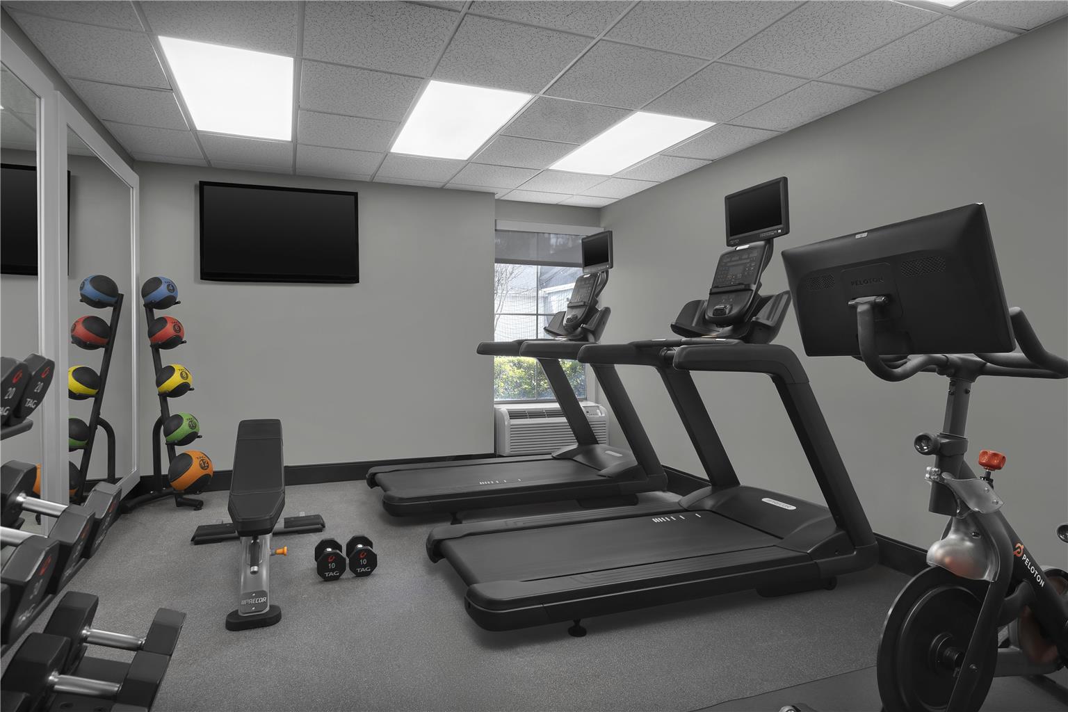 Health club  fitness center  gym