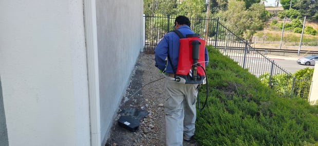 Images American Pest Control