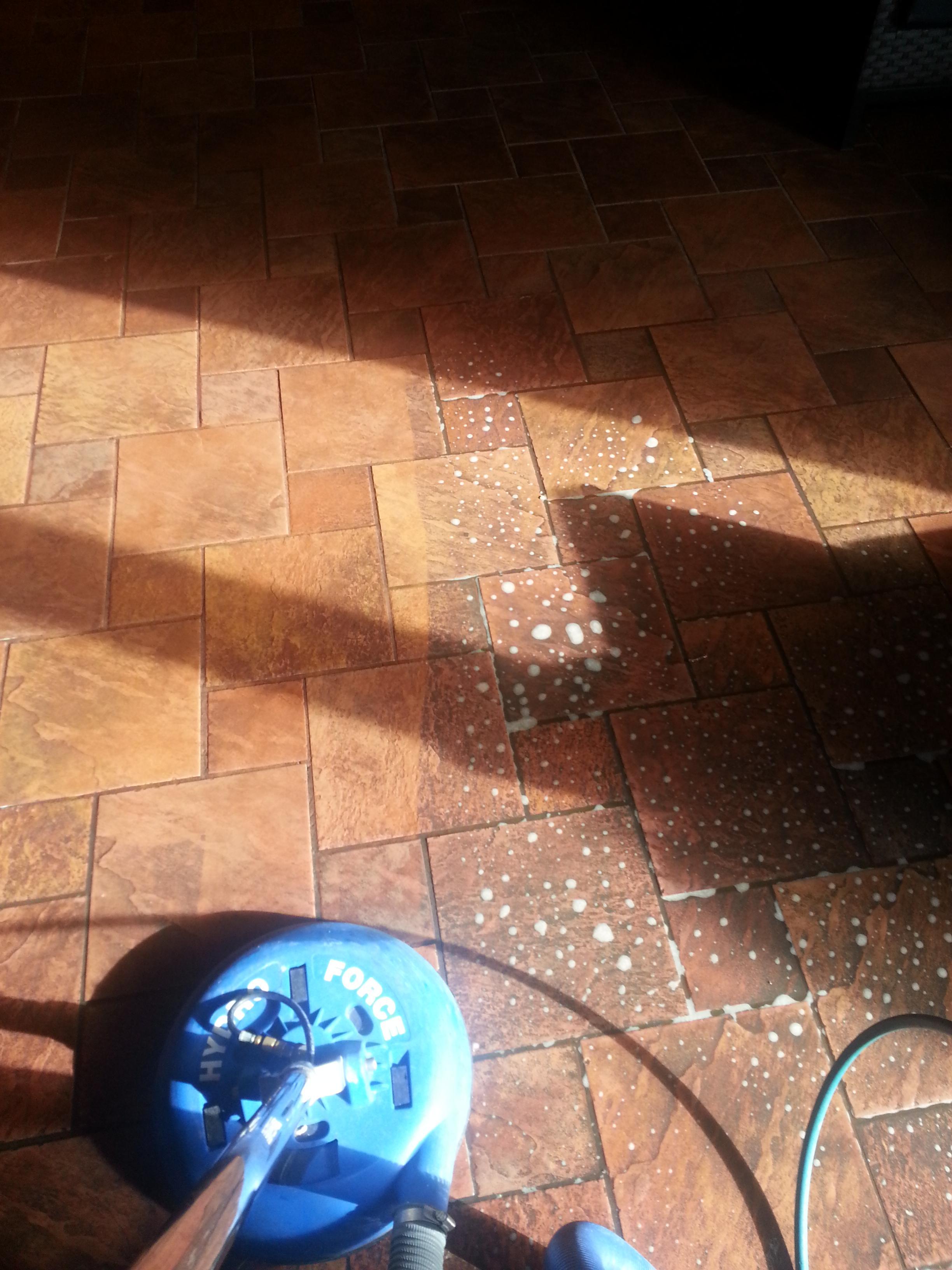 T Rex Carpet Care & Upholstery, Llc