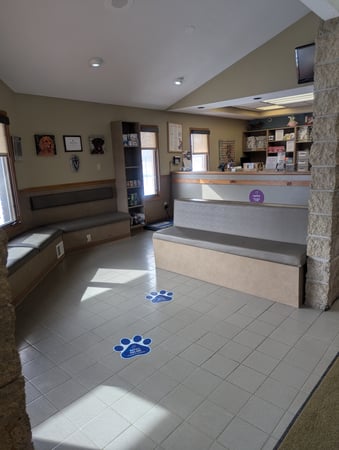 Images VCA Avondale Veterinary Hospital