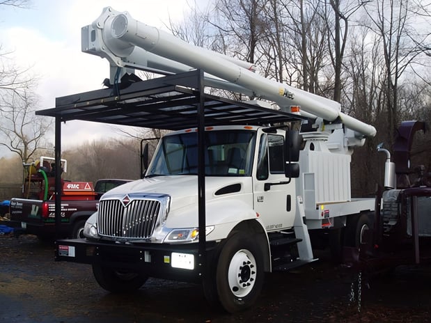 Images Eager Beaver Tree Service