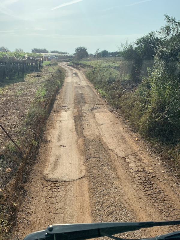 Images Azienda Agricola Masseria Pepe S.n.c