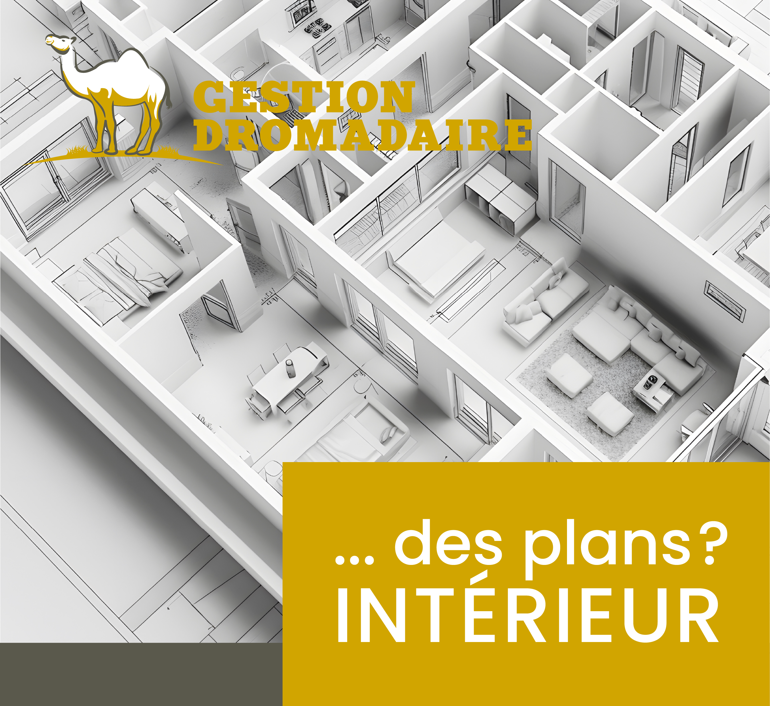 Images Gestion Dromadaire Inc