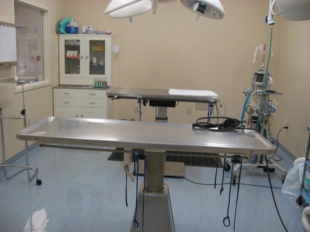 Images VCA Catoosa Animal Hospital