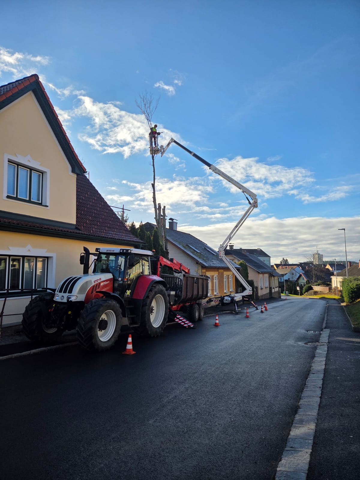 Bild 1 von Roman Mader Der Baummader