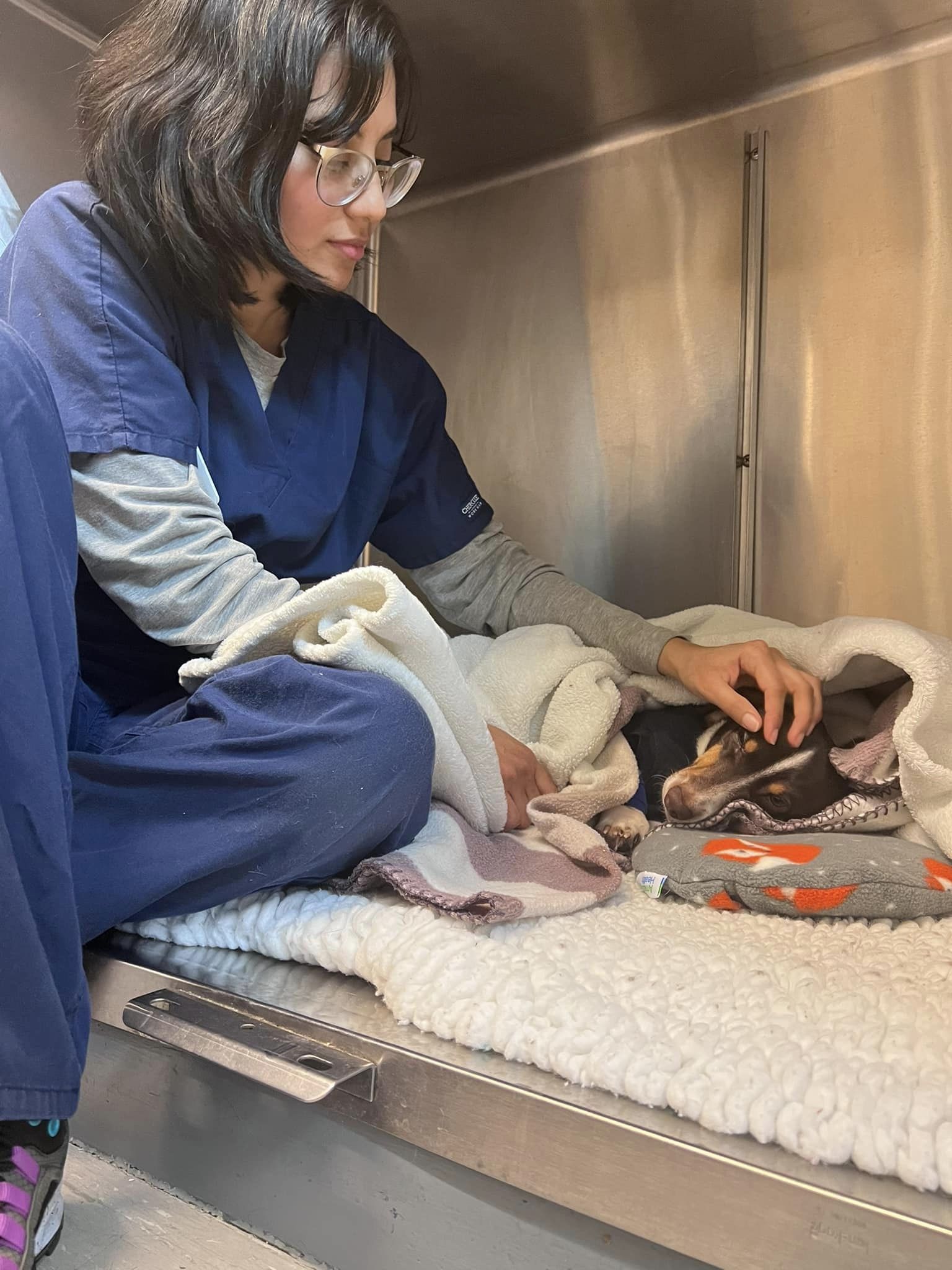 Abingdon Veterinary Clinic
