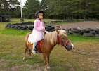 Images Star Ridge Stables