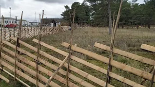 Images Glifbergs Skog och Entreprenad