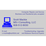 MS-I Consulting Logo