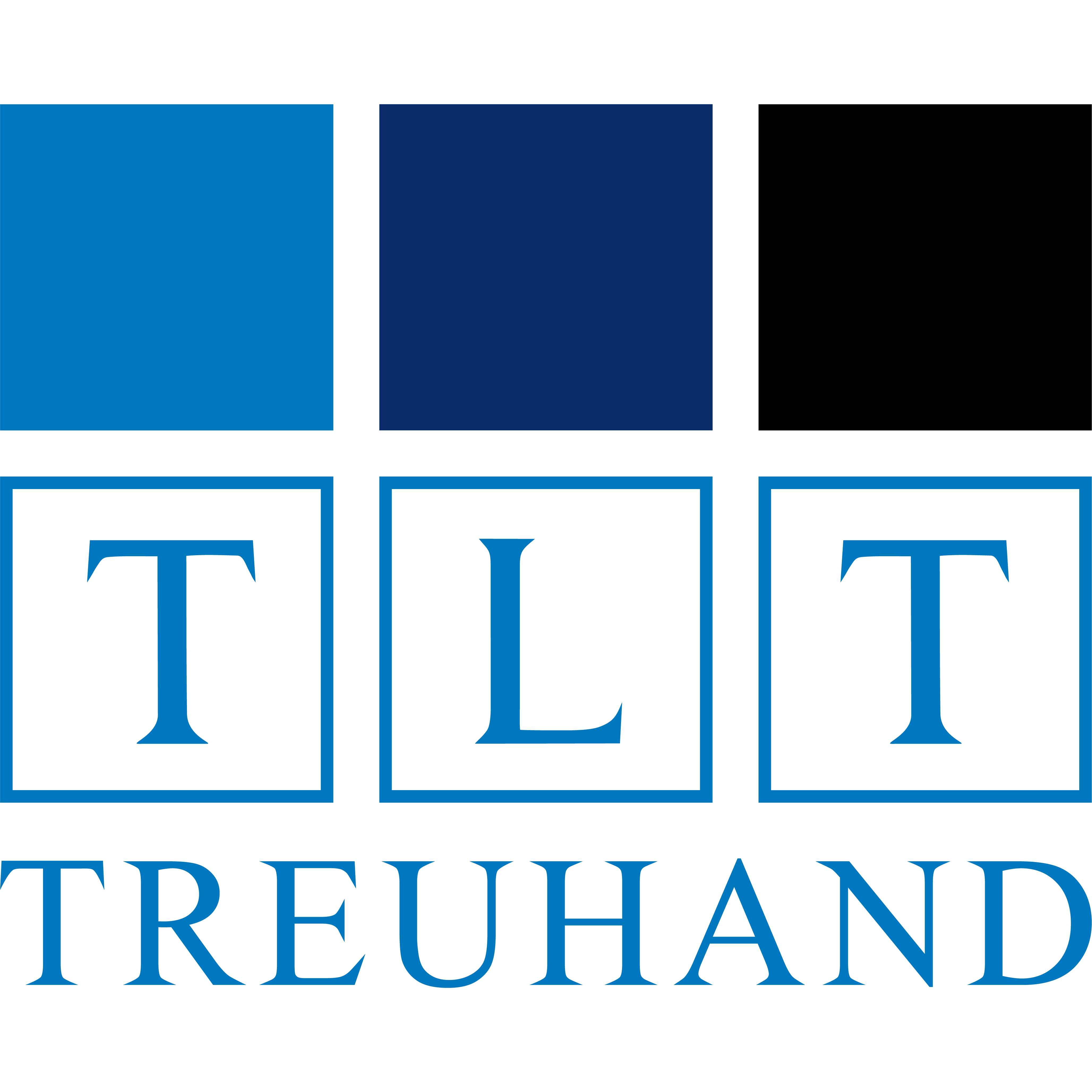 TLT Thomas Lincke Treuhand AG Logo