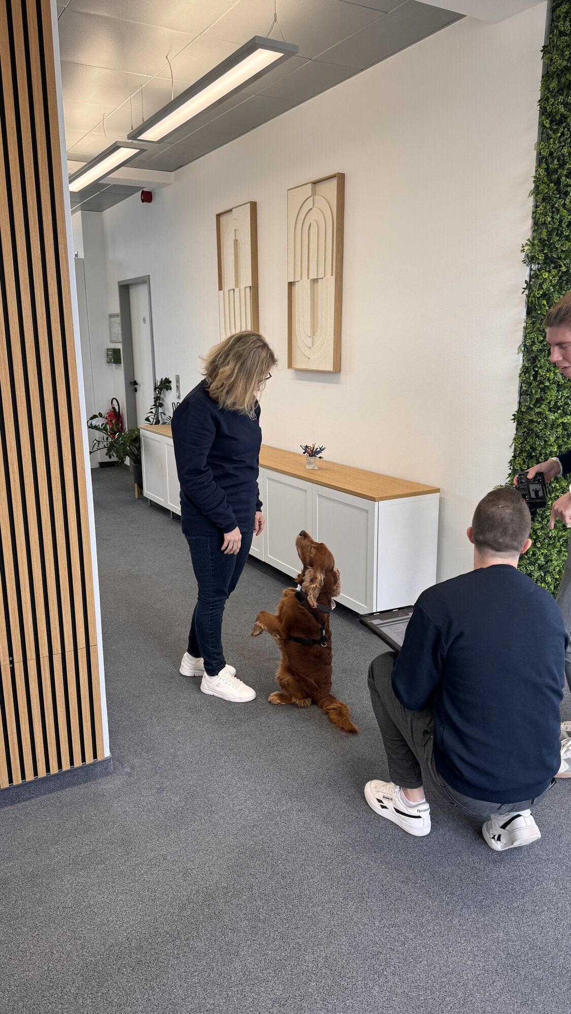 mx-itsolutions GmbH, Solmsstraße 8 in Frankfurt Am Main