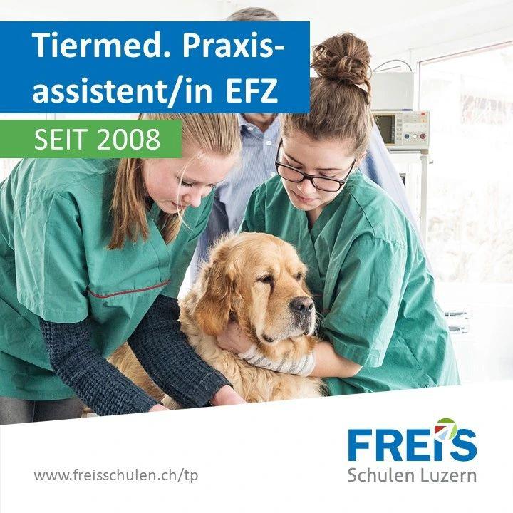 FREI'S Schulen AG Luzern, Haldenstrasse 33 in Luzern