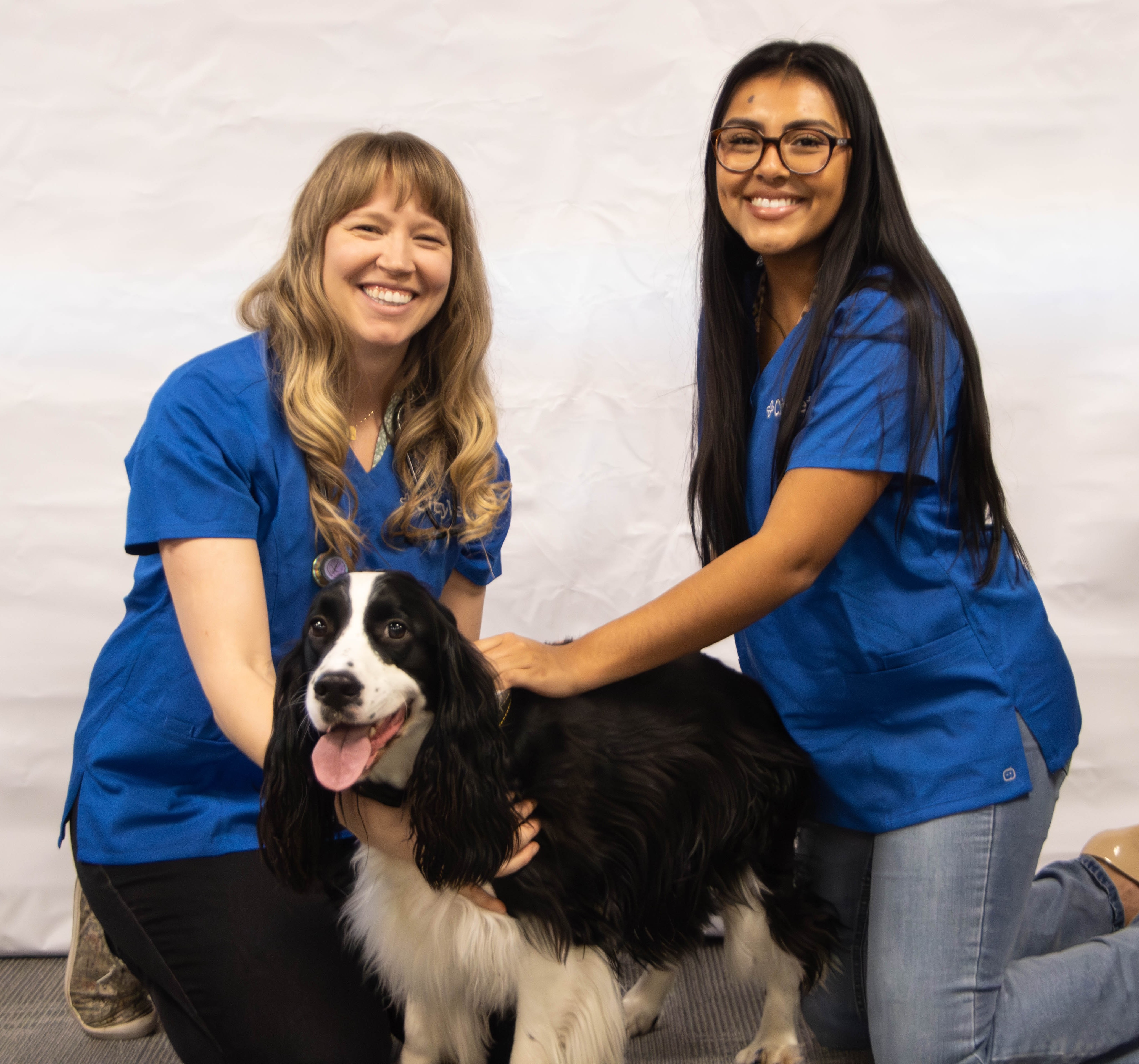 Dr. Amy Jager, owner of CityVet | Verrado and a tech examining a dog