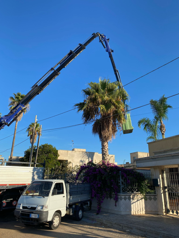 Images Casa della Legna Manutenzione del Verde