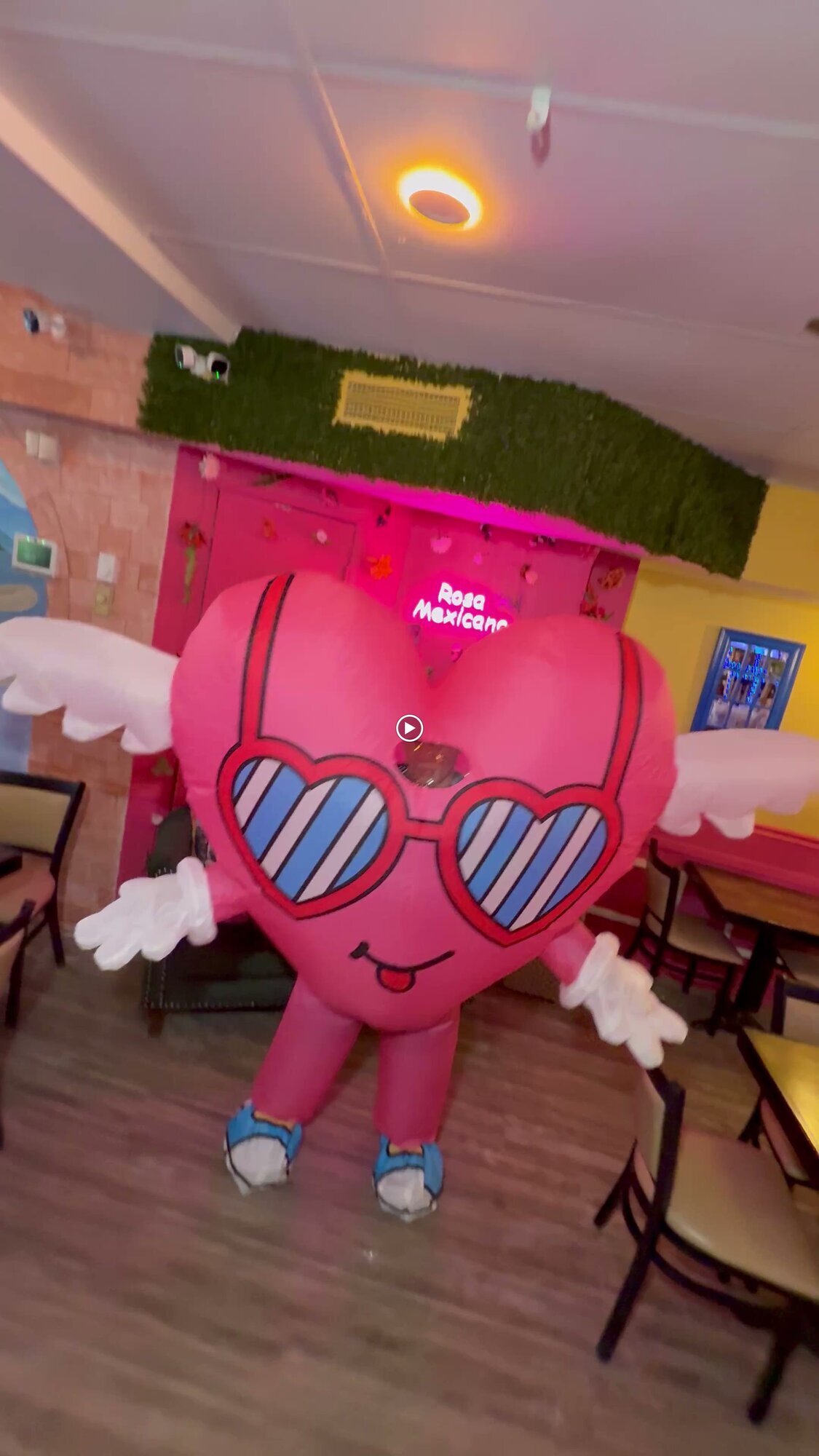 Images Rosa mexicano montreal