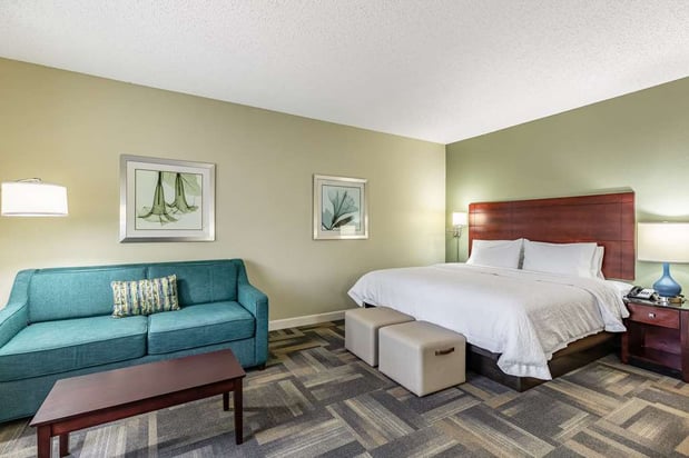 Images Hampton Inn & Suites Orlando-South Lake Buena Vista