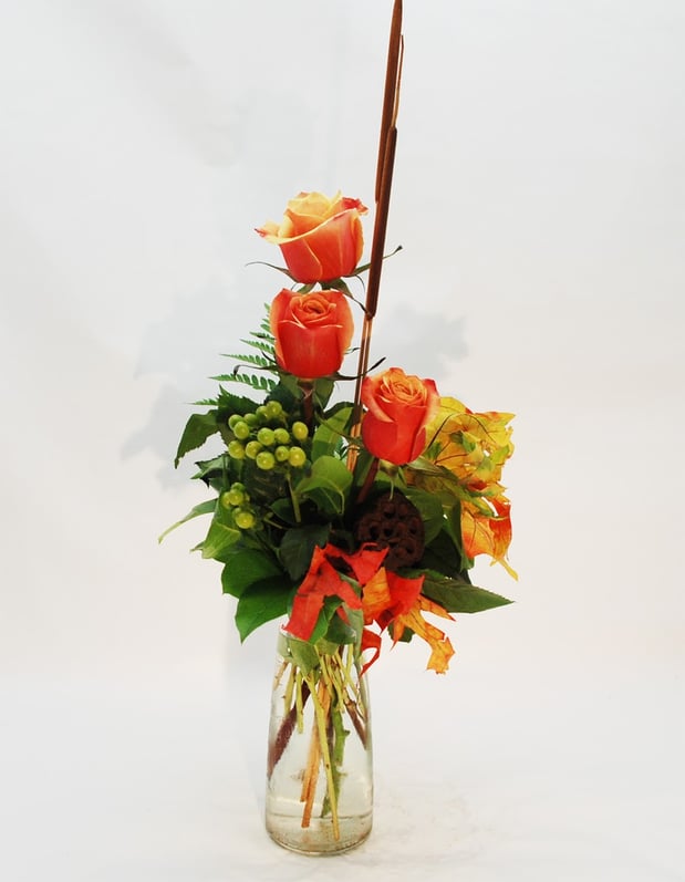 Images The Flower Bucket - Frederick