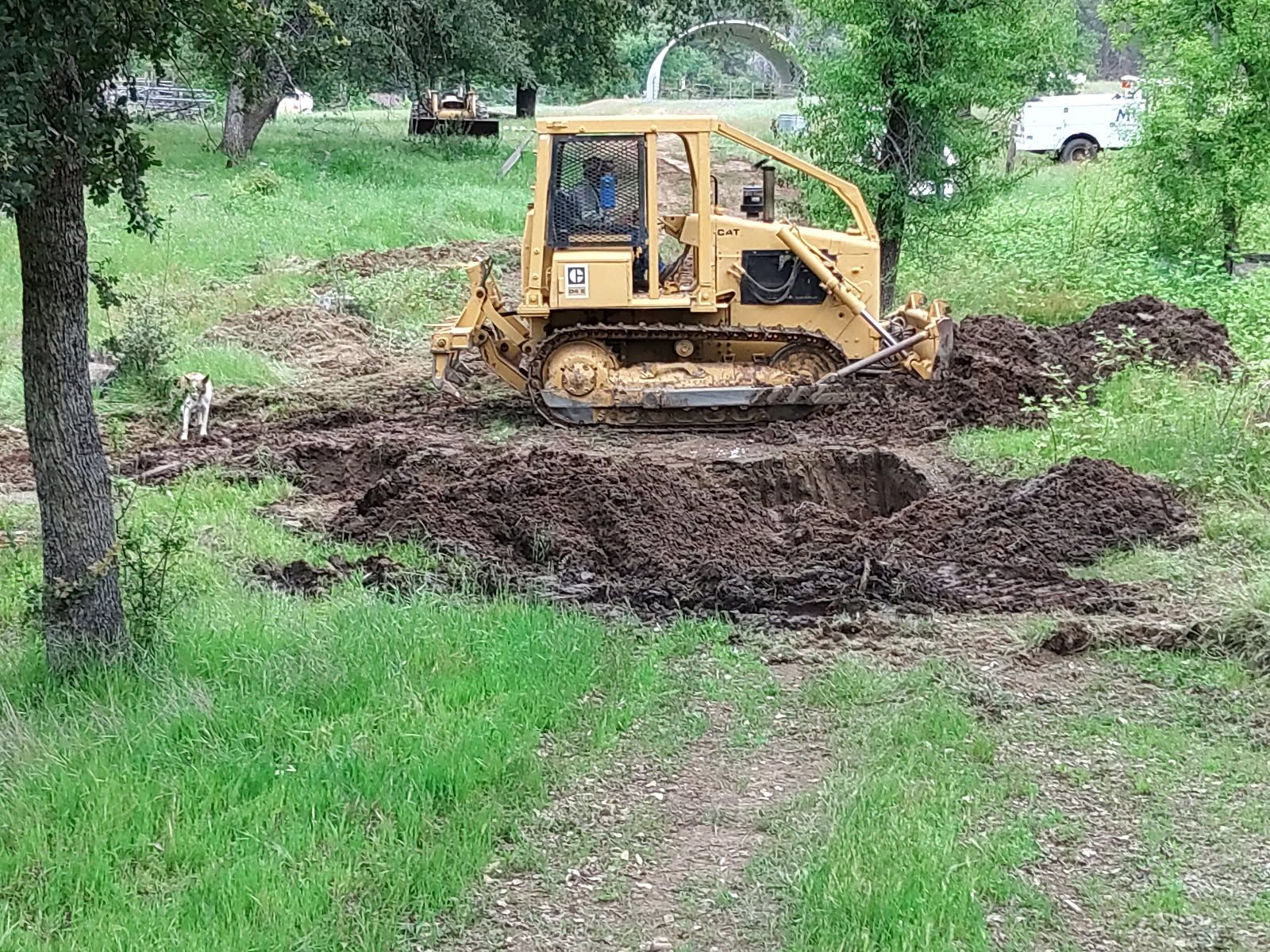 Yellow tracked bulldozer pushes and grades dark soil across a grassy property, with excavated earth piles, trees, equipment, a white utility truck, and a dog visible around the active worksite.