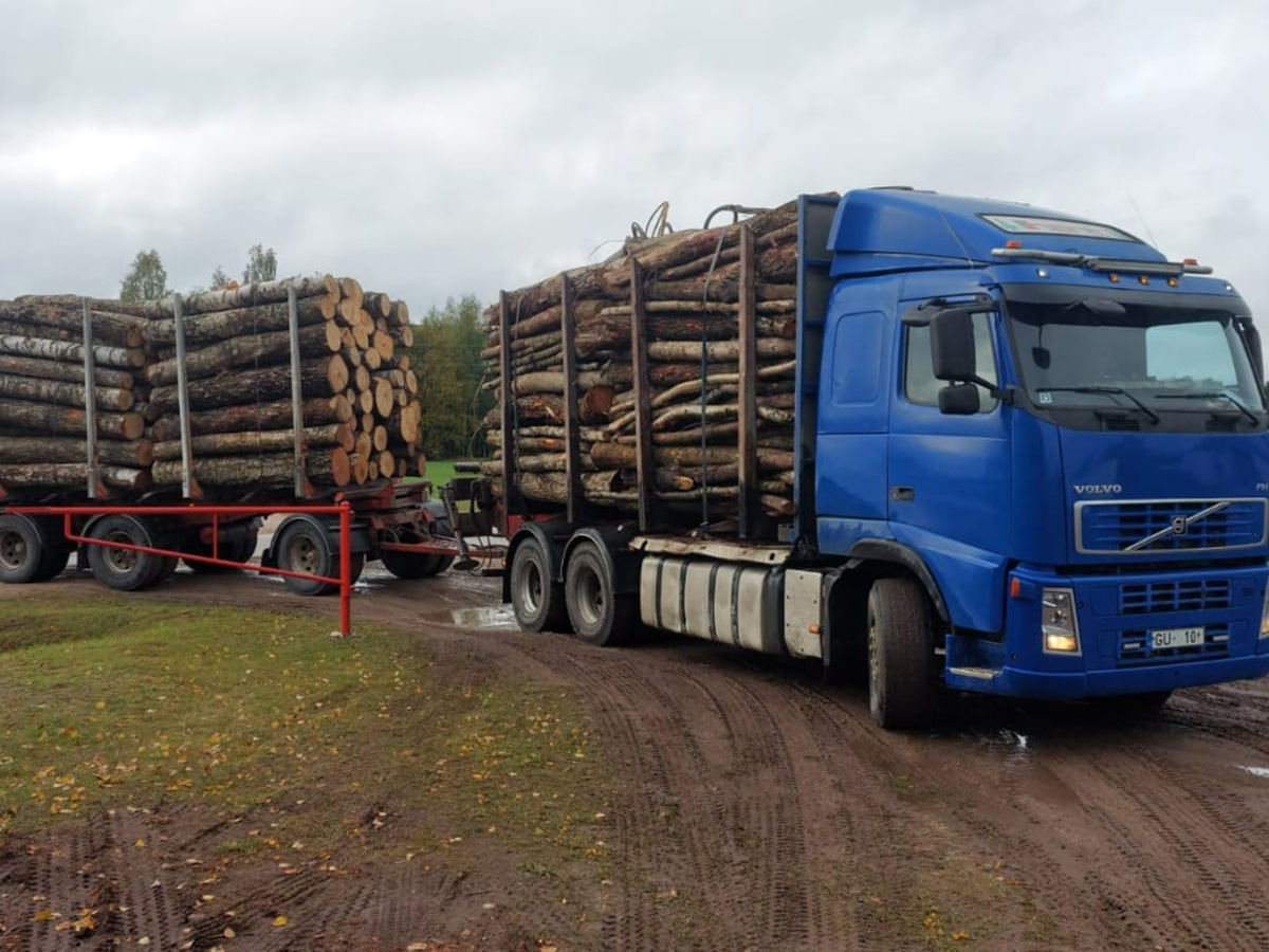 Mežmikeļi baļķvedējs dodas maršrutā uz kokmateriālu uzglabāšanas teritoriju.