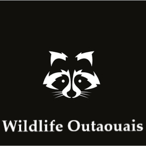 Extermination Wildlife Outaouais - Exterminateur Gatineau