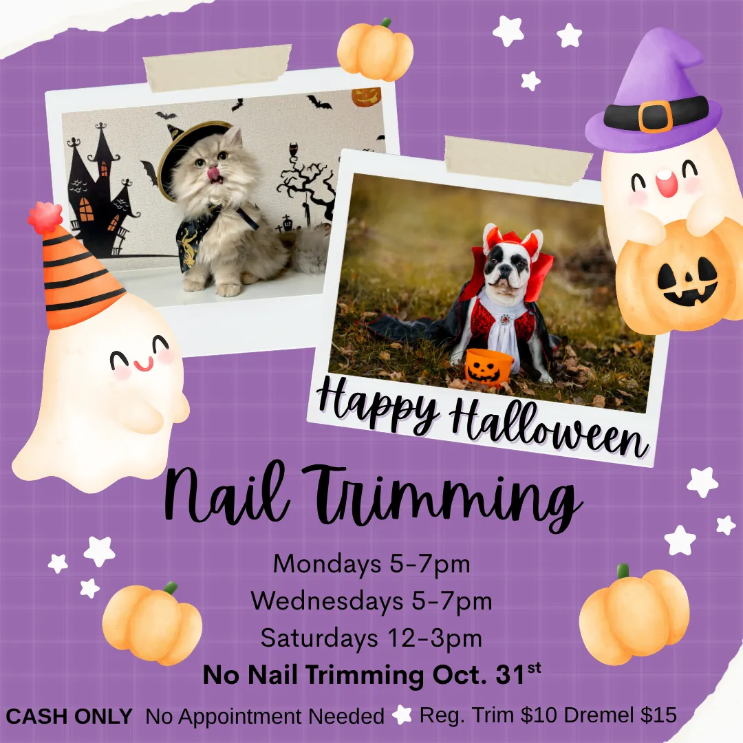 Image of Local Pet Event October Nail Trimming Nearby